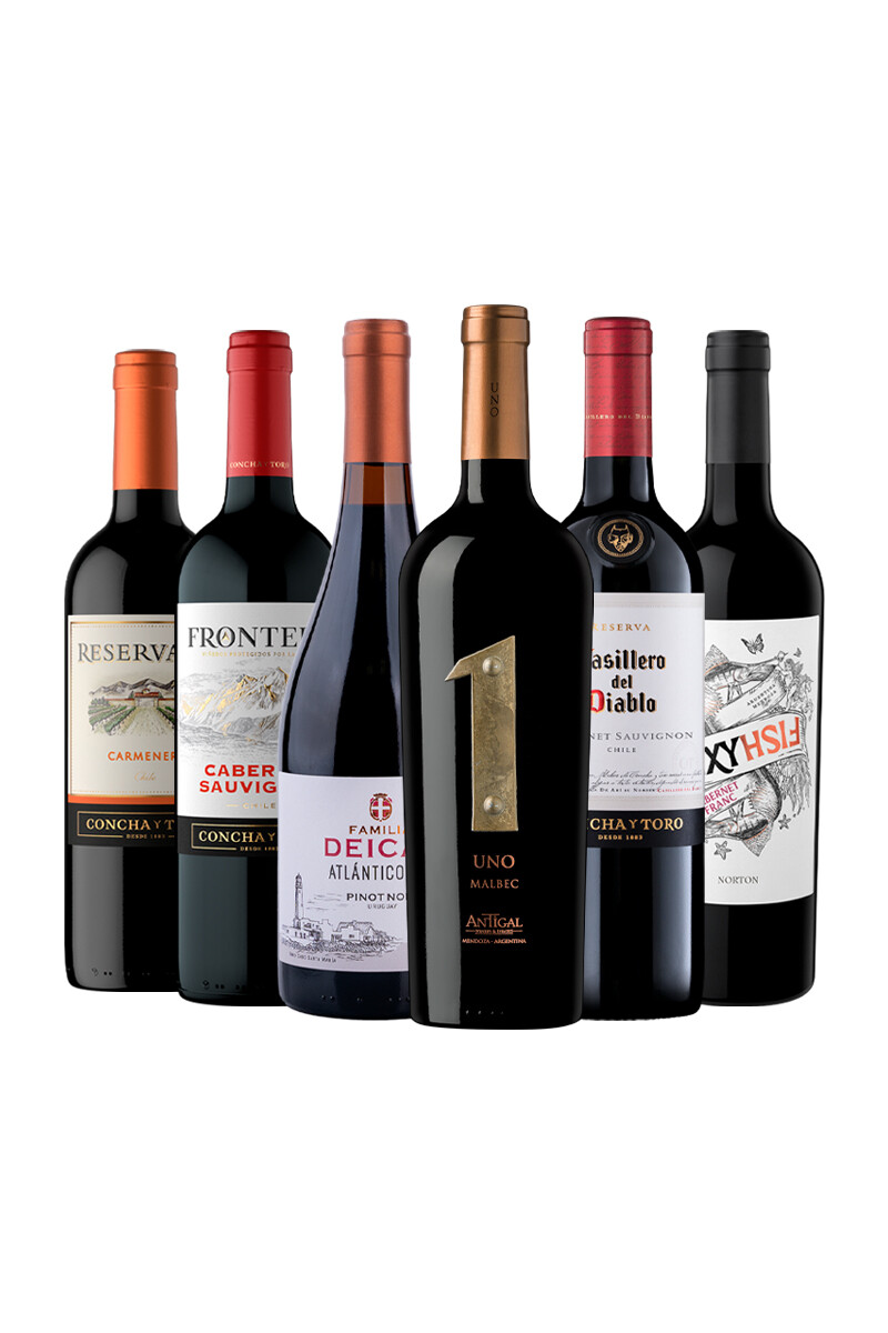 Pack Selección Good Times Good Wines x6 vinos tintos 