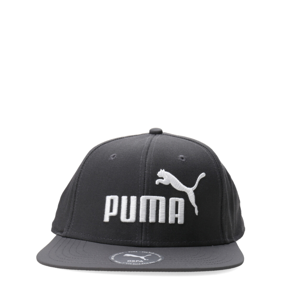 Gorro Puma Logo Flat Brim - Gris 