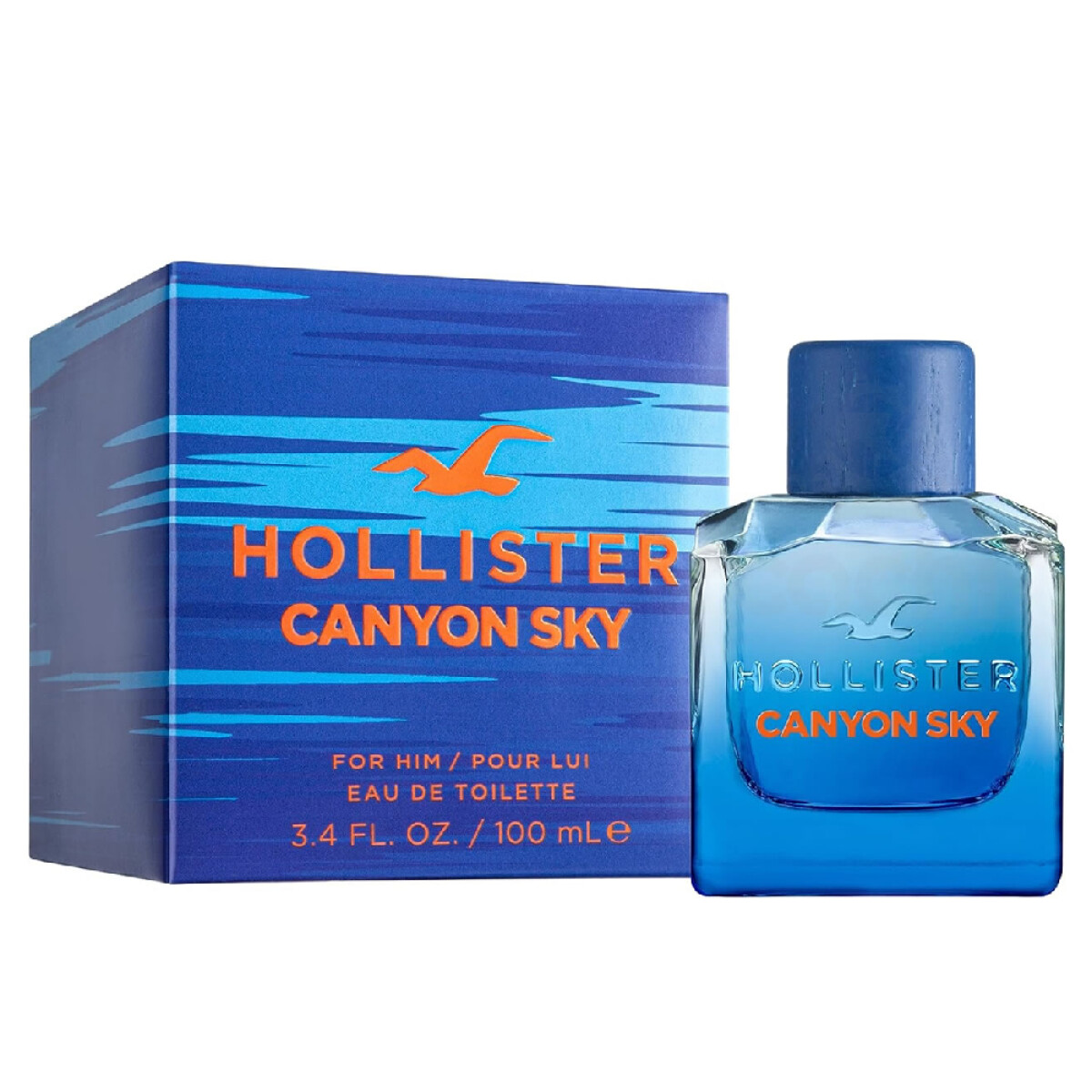 Perfume Hollister Canyon Sky For Him Eau De Toilette 100ml 