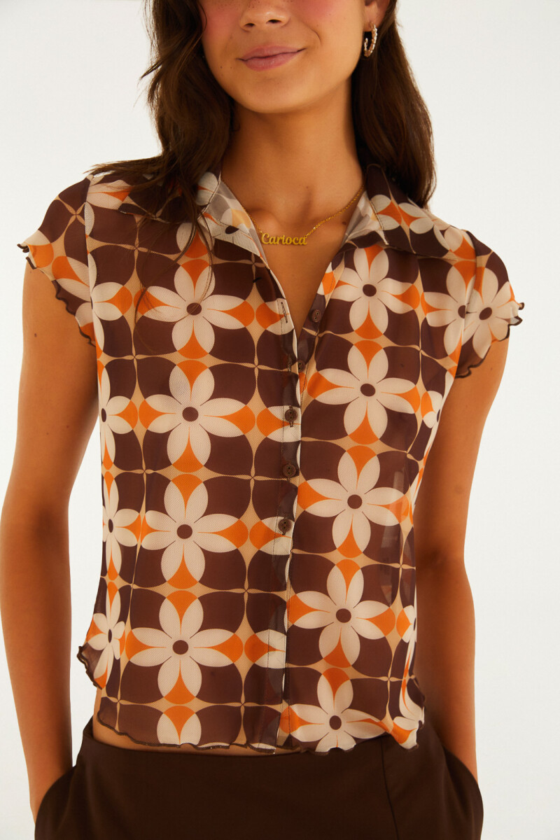 TOP Marron