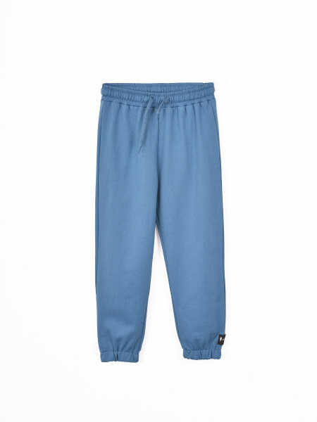 PANTALON RANDAL PETROLEO