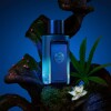 Antonio Banderas The Icon Supreme 50 ml