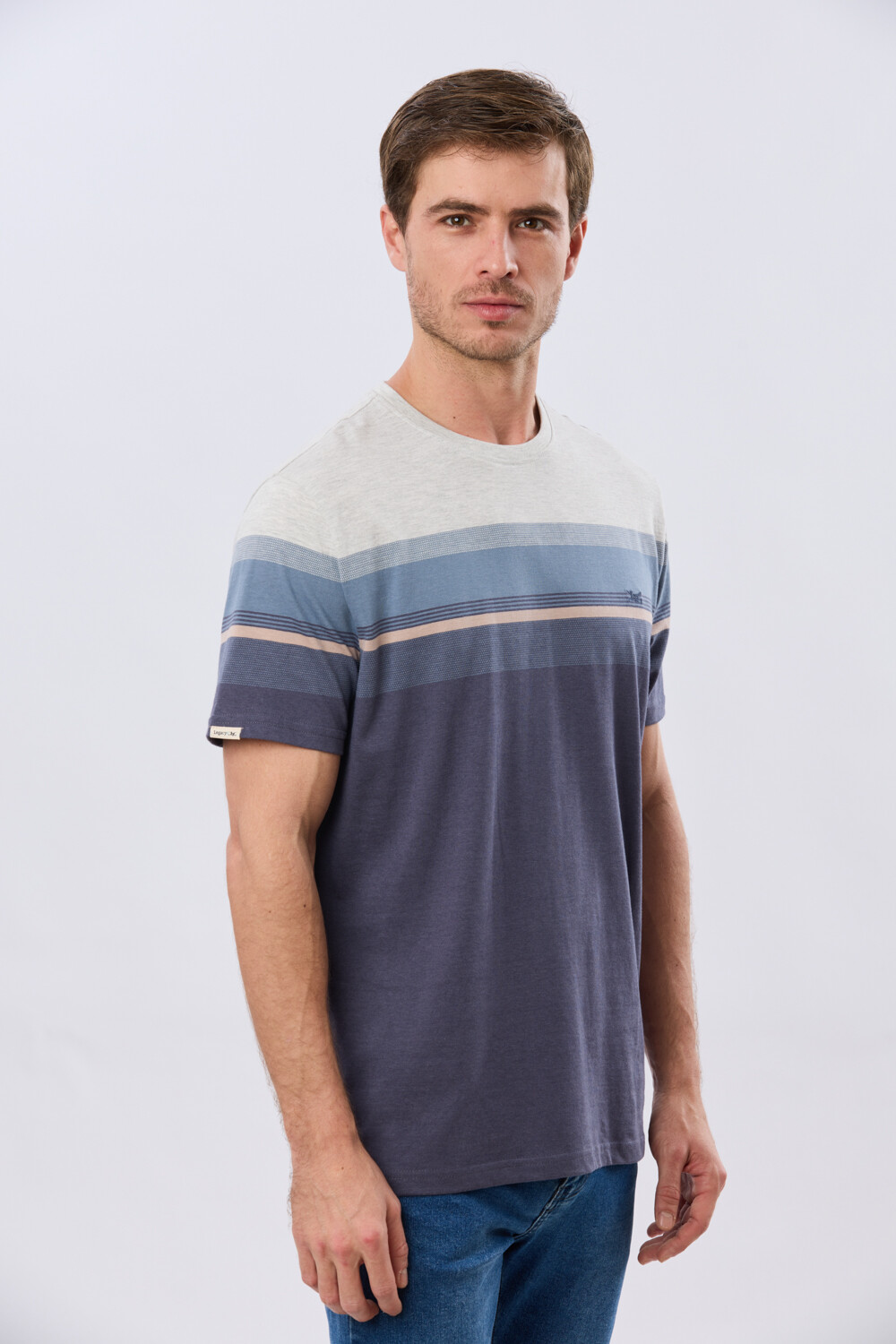 REMERA RAYADA DE ALGODÓN Azul