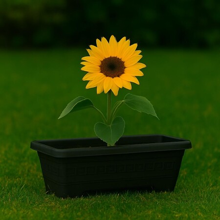 MACETA JARDINERA RECTANGULAR 7 LITROS NEGRA NEGRO
