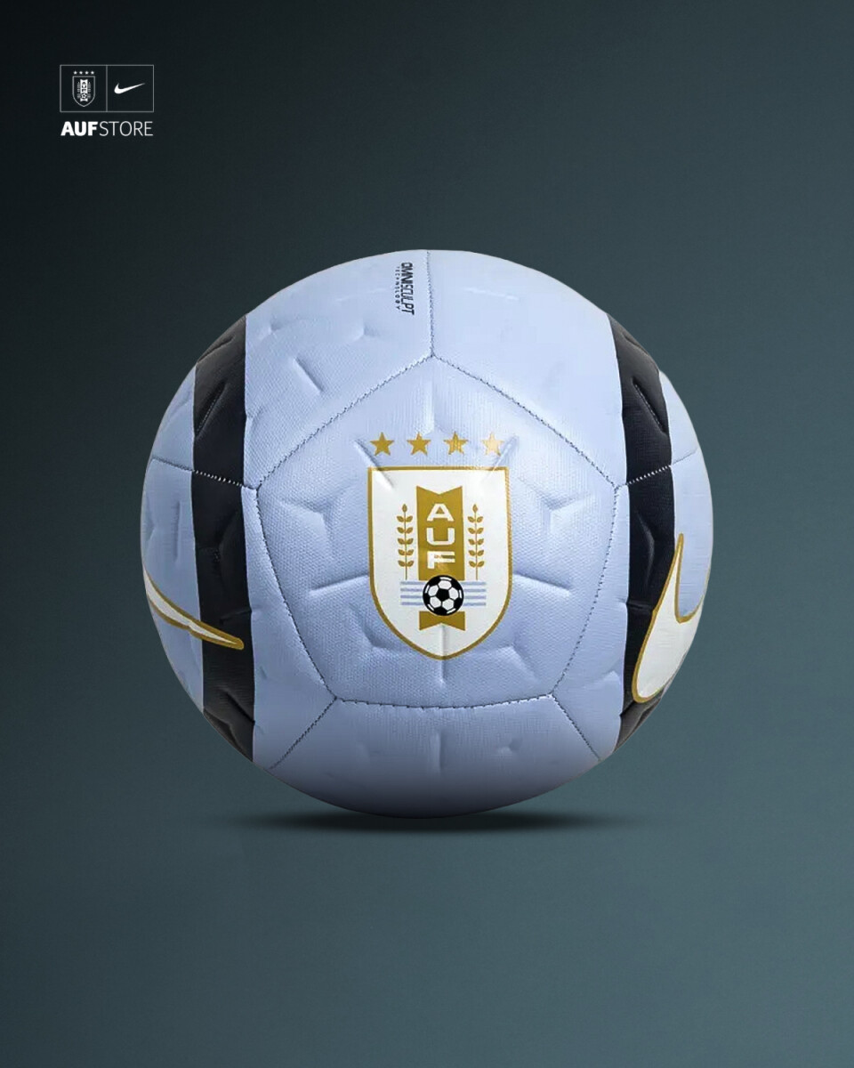 Pelota Nº5 AUF-NIKE 2026 
