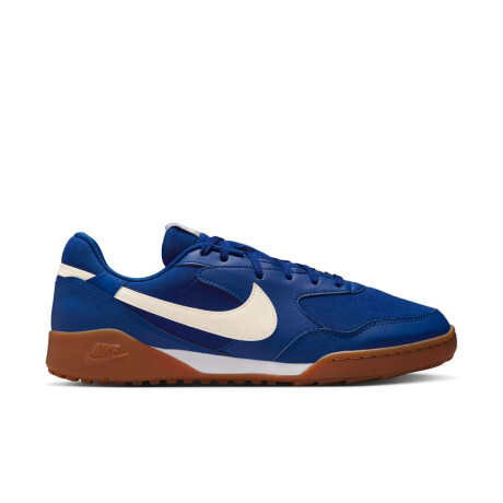 Championes Nike Terra Manta de Hombre azul