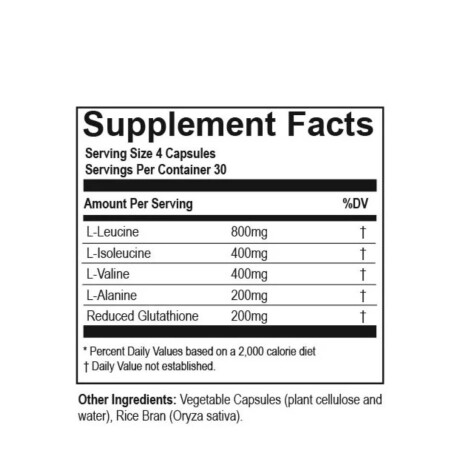 Endurance BCAA Hammer 120 Cáps