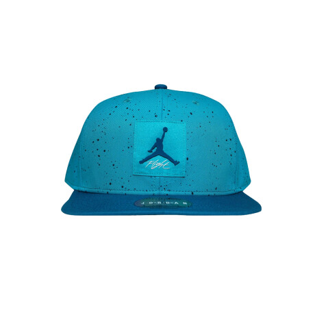 JORDAN PRO AOP SNAPBACK Blue