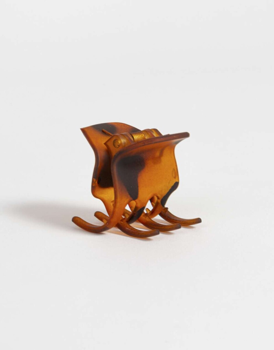 Broche - Marron Carey 