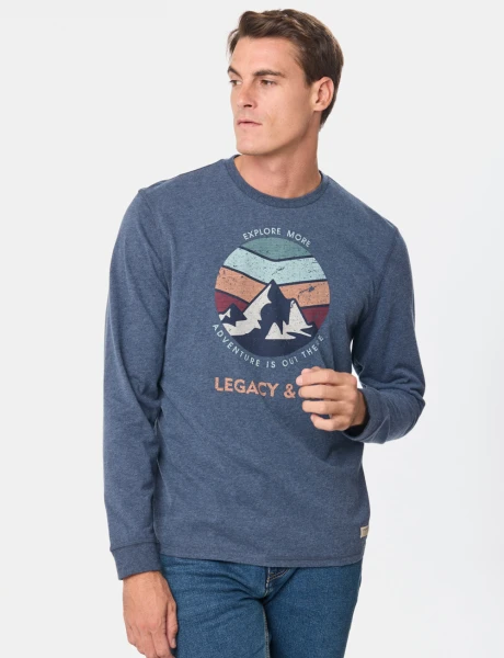 REMERA ESTAMPADA Azul