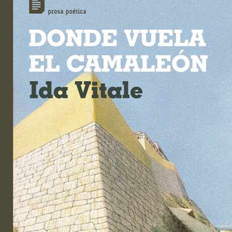 DONDE VUELA EL CAMALEON DONDE VUELA EL CAMALEON