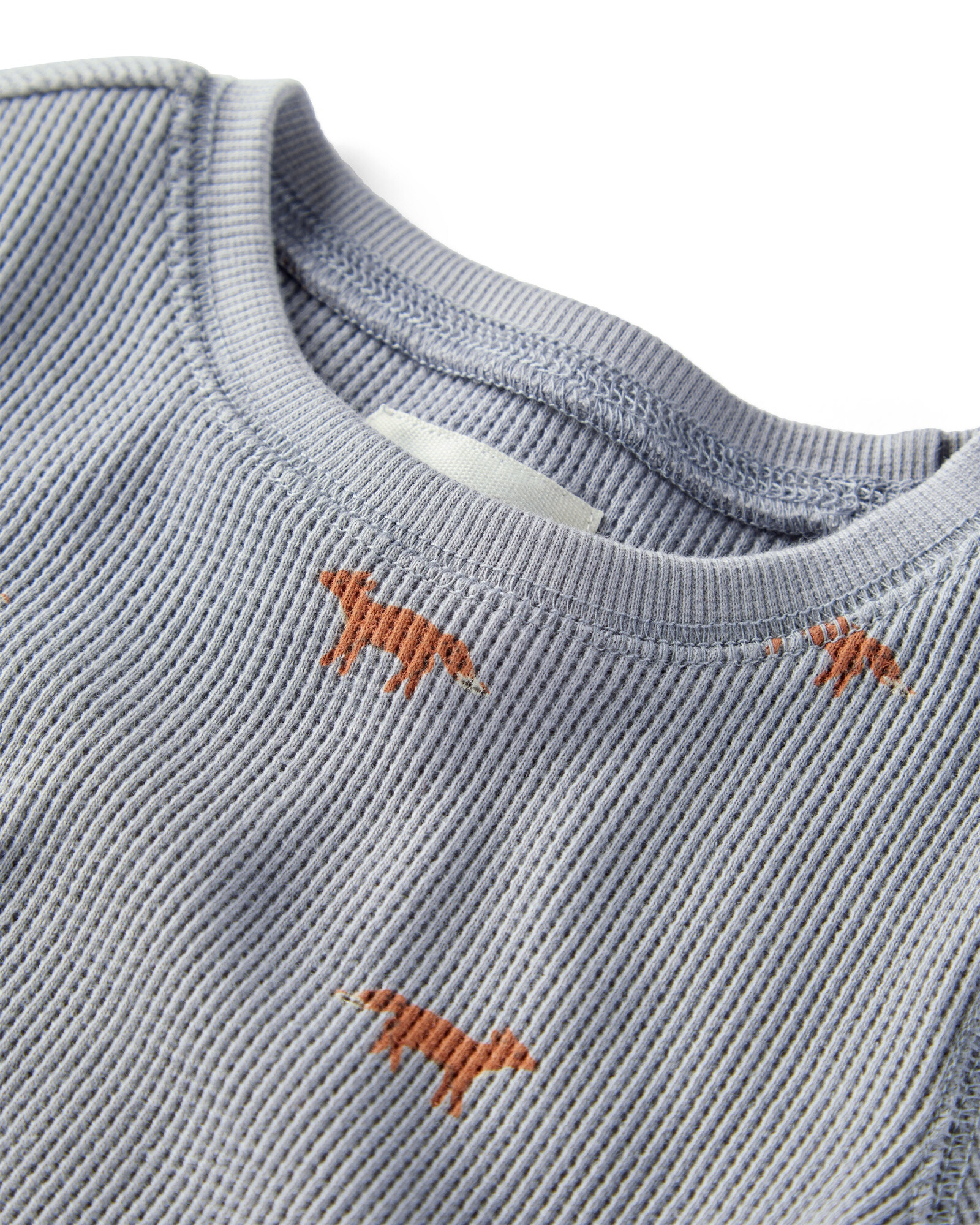 Set dos piezas de algodón orgánico, pantalón y buzo, diseño zorro Sin color