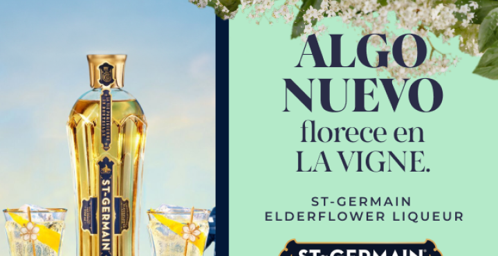 St-Germain llega a LA VIGNE: el licor francés que transformó la coctelería moderna