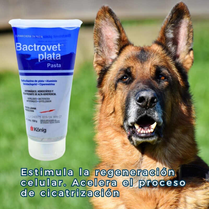 BACTROVET PLATA CURABICHERA PASTA 150 G BACTROVET PLATA CURABICHERA PASTA 150 G
