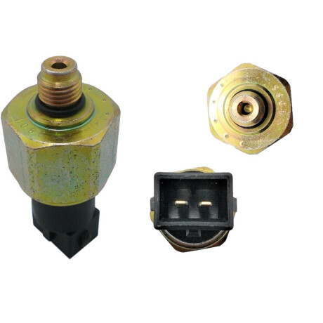 BULBO INTERRUPTOR VOLKSWAGEN DIR. HIDRAULICA KA FIESTA FOCUS GOL 026919081.2 3RHO BULBO INTERRUPTOR VOLKSWAGEN DIR. HIDRAULICA KA FIESTA FOCUS GOL 026919081.2 3RHO