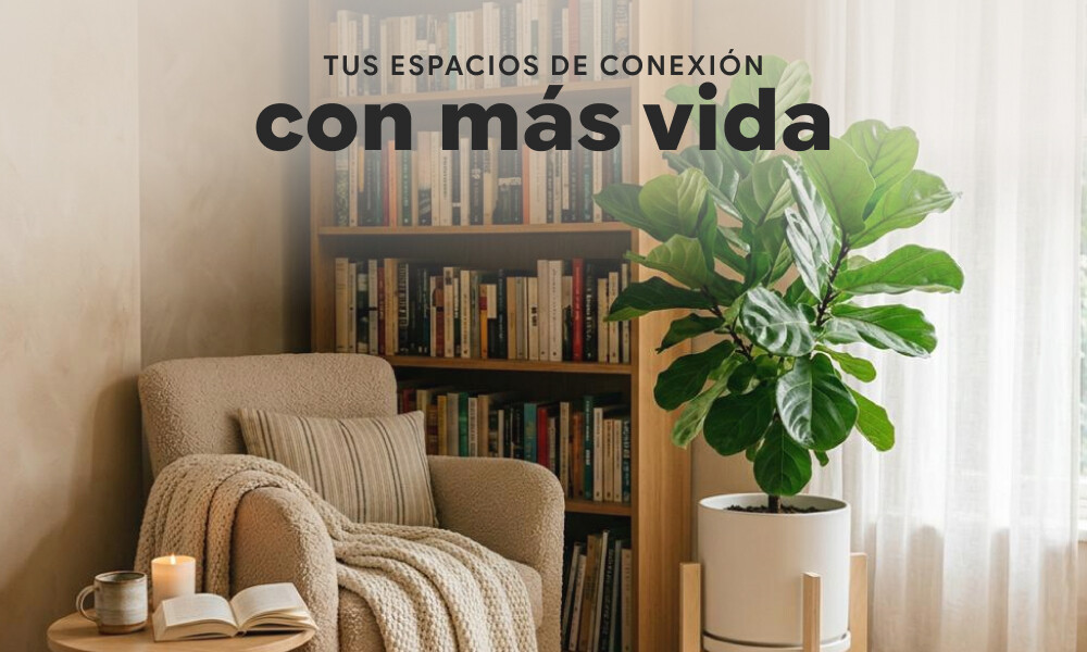 PLANTAS