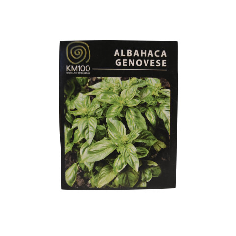 Semillas autocultivo de albahaca genovese KM100 Semillas De Albahaca Genovese