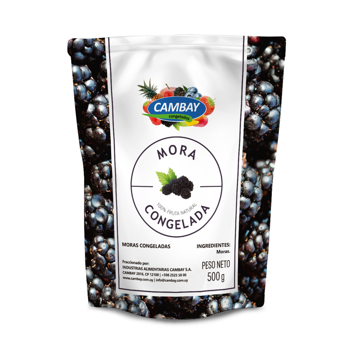 Moras Cambay 500Grs 