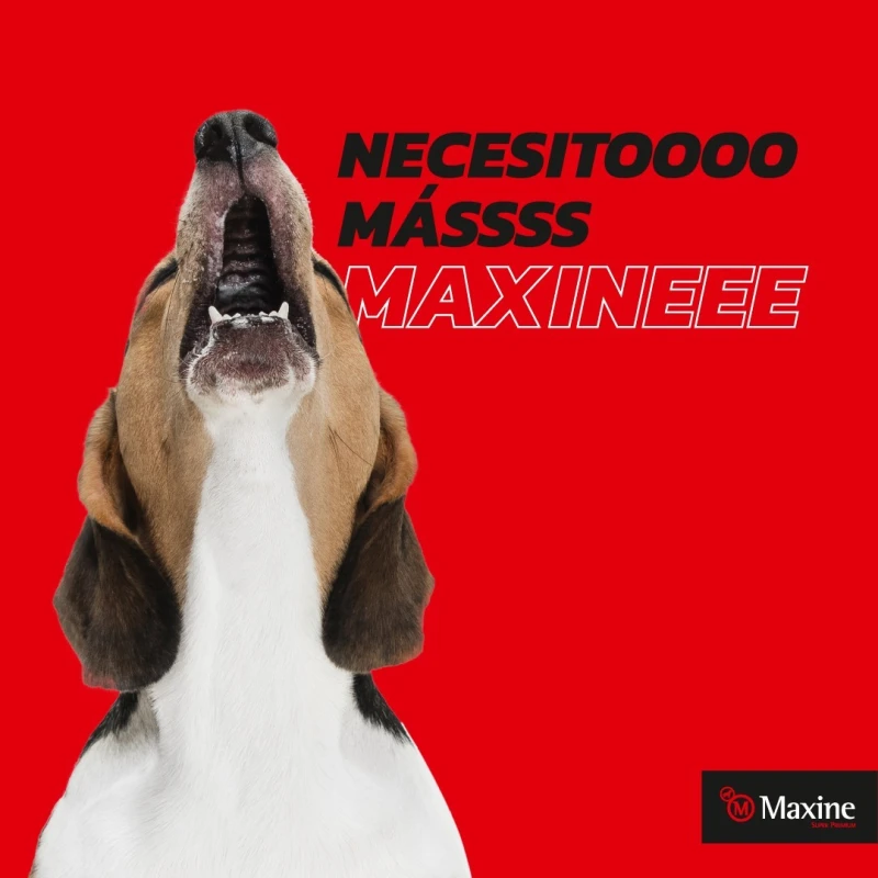 MAXINE PERROS ADULTOS 7,5 KG + PALA PERRITO DE SERVIR DE REGALO