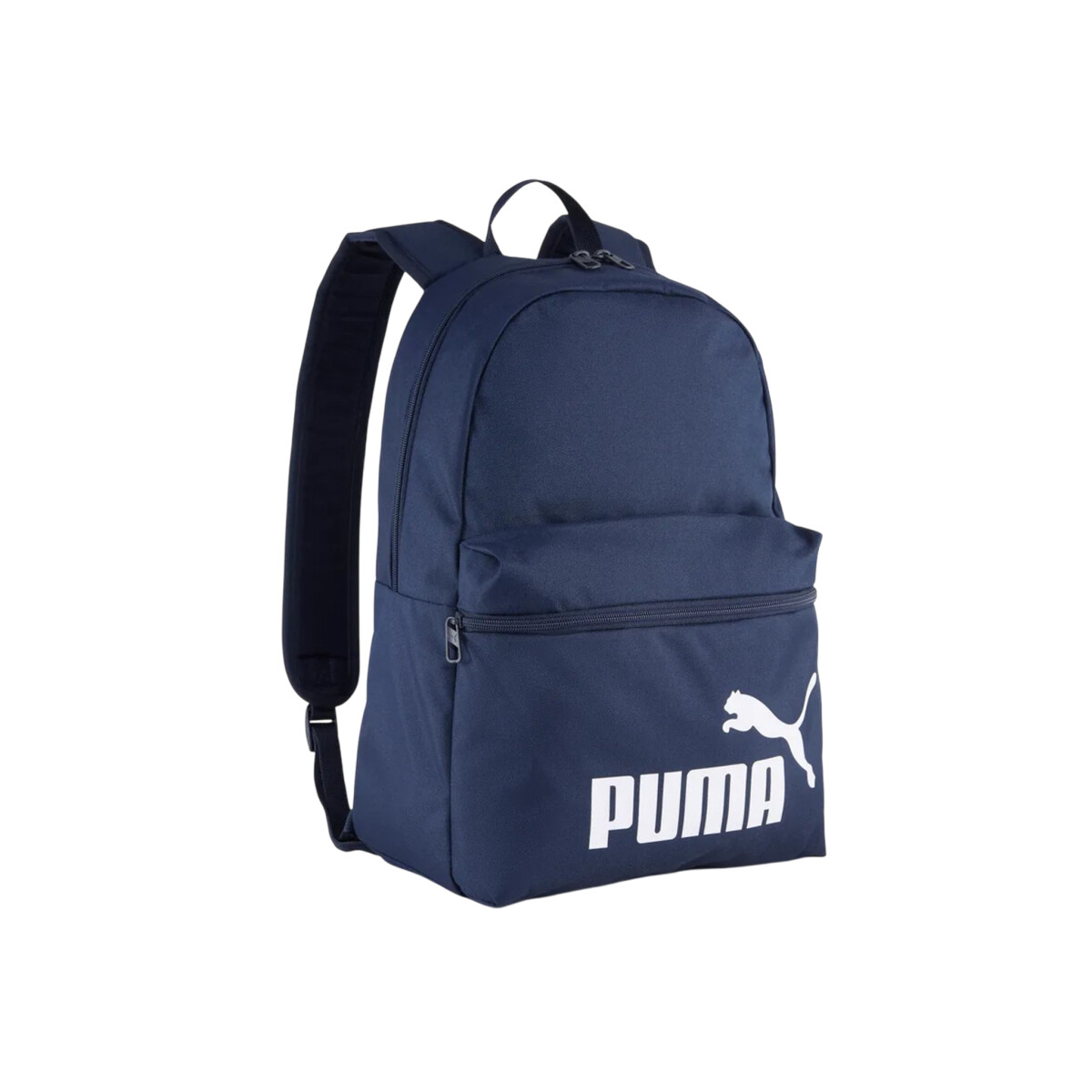 PUMA PHASE III - Blue 