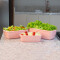 Kit x3 potes rectangulares ROSA