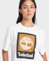 Polera Stack Logo Colored Short Sleeve Tee Hombre 100