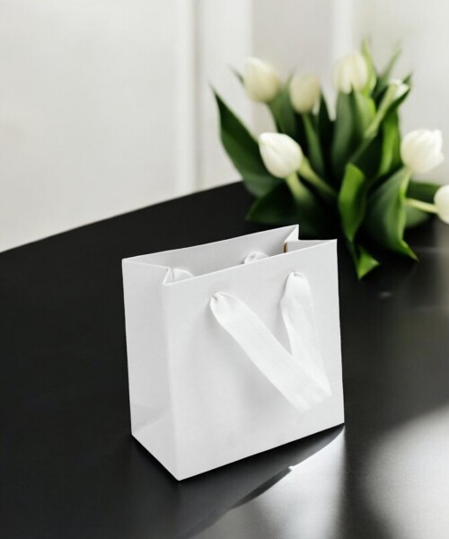 Bolsa cartulina eco 10x05x10 cm BLANCO