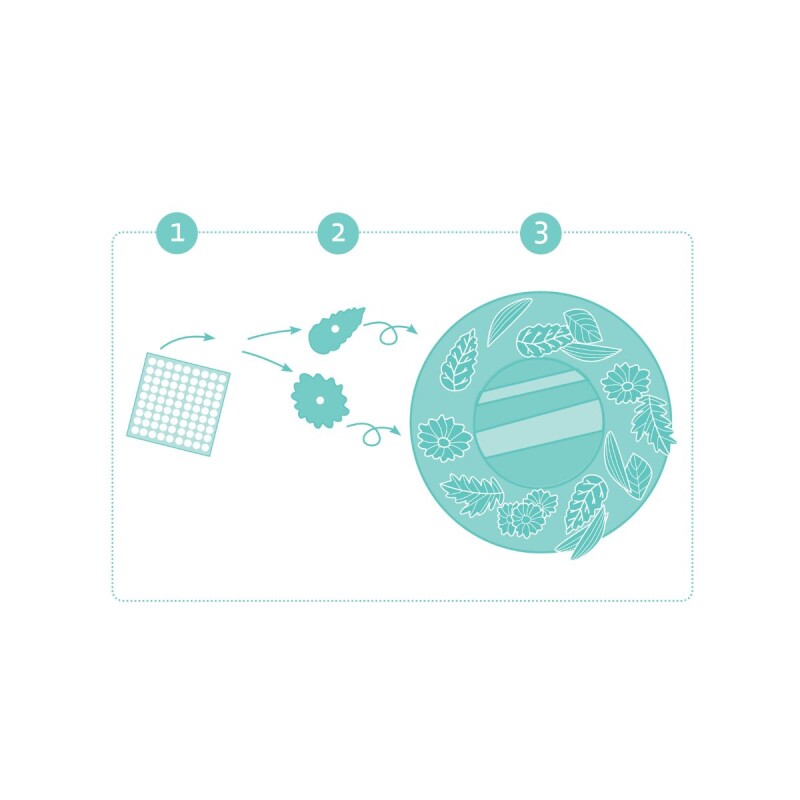 Set x3 espejos infantiles para decorar Set x3 espejos infantiles para decorar