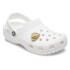 Natural Conch Shell Multicolor