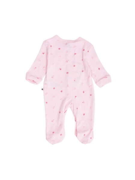 ENTERITO MINO VARIANTE 2