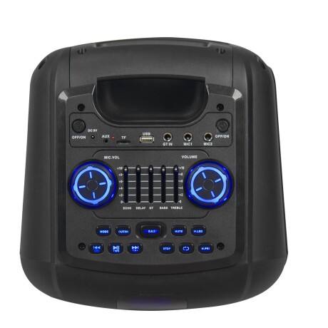 Parlante 2X8" Luces Led Batería Recargable Con Micrófono Ub 001