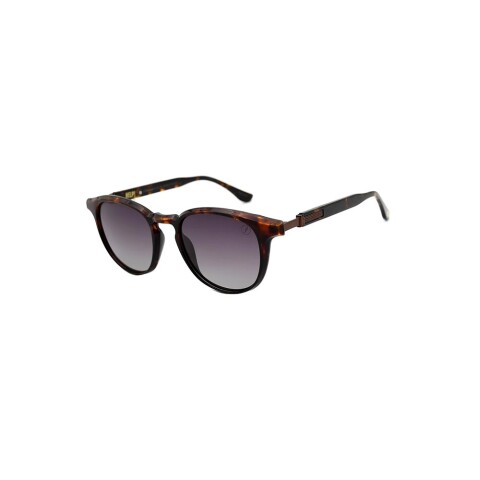 Lentes De Sol Chilli Beans Beatles Redondo Hombre Marrón/Tortuga