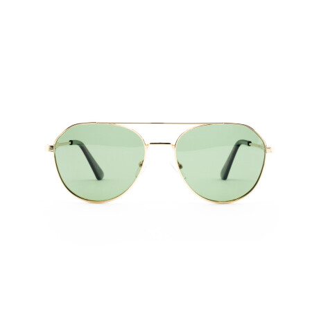 Lentes de Sol Bloom Polarizado PZ5036 Unisex Verde