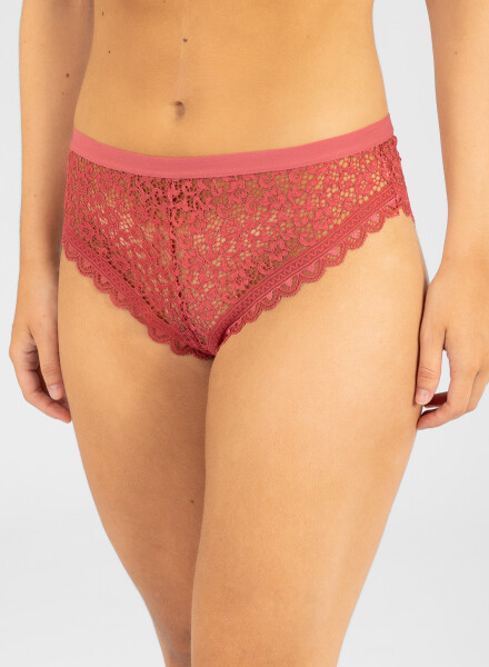 Colaless gazania Rojo