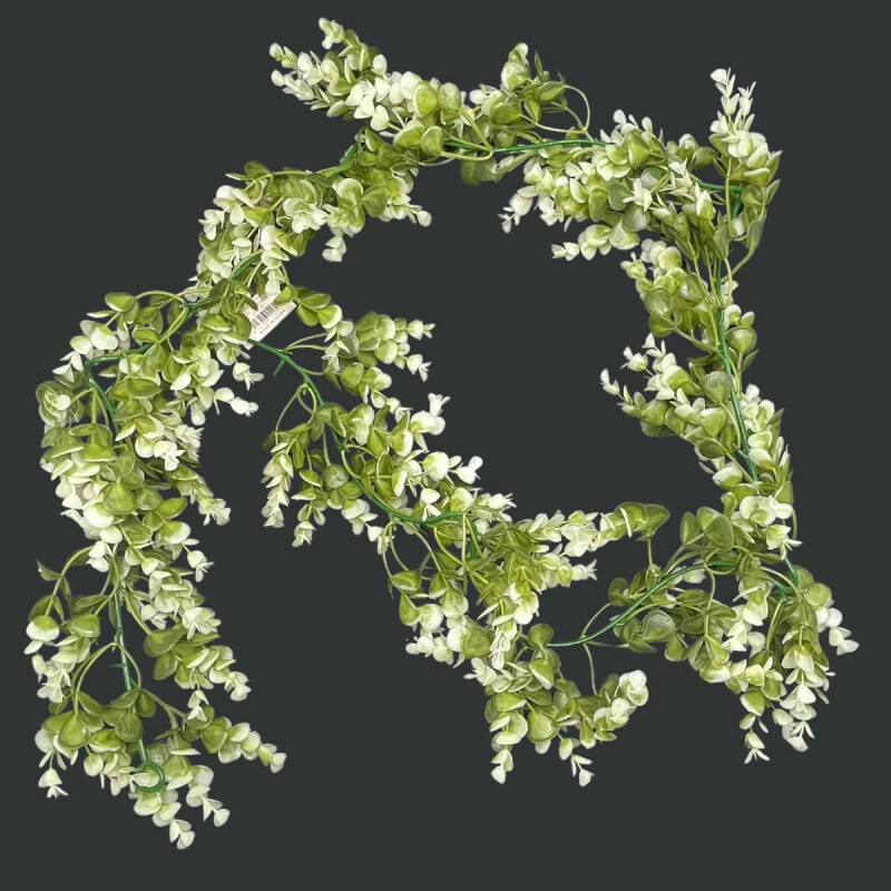 Guia de Hojas de Eucalipto Guia de Hojas de Eucalipto