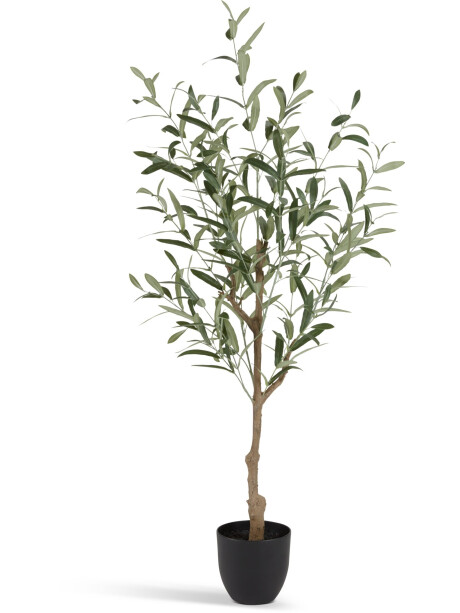 Planta artificial HAVHEST A125cm olivo Planta artificial HAVHEST A125cm olivo