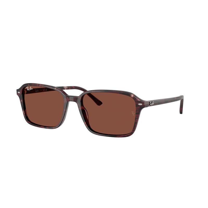 Ray Ban Rb2231 Raimond 1416/c5