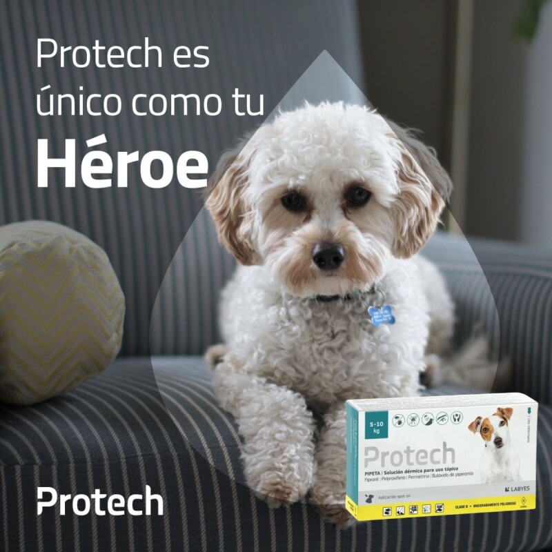 PROTECH PIPETA ANTIPULGAS Y GARRAPATAS CON ACCIÓN AMBIENTAL PARA PERROS DE 5 A 10 KG
