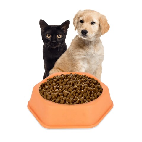 Plato Hexagonal Mascota Cachorros Comida Agua Plástico Variante Color Naranja