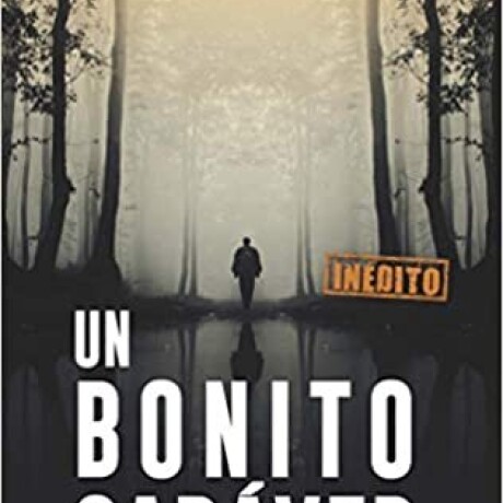 BONITO CADAVER, UN BONITO CADAVER, UN