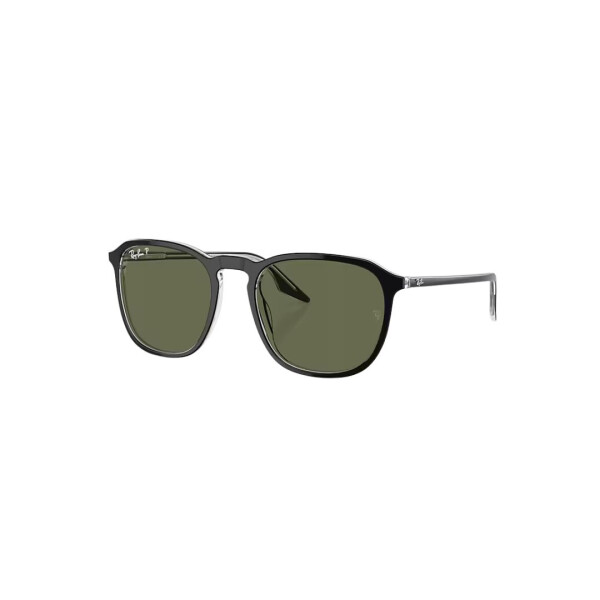 RB 2203/52 col 919-58 Polarized Rb 2203/52 Col 919-58 Polarized