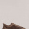 Cali Beige
