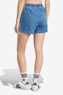 FIREBIRD SHORT Azul