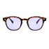 Lentes de Sol Chilli Beans Lausana Animal Print - Violeta