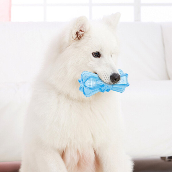 Juguete Perro Masticable Mordillo Mordedor ZOOROYAL Dental Juguete Perro Masticable Mordillo Mordedor ZOOROYAL Dental