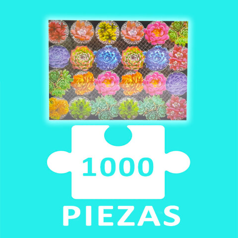 Puzzle 1000pcs Plantas suculentas 25.5x20x5cm Puzzle 1000pcs Plantas Suculentas 25.5x20x5cm