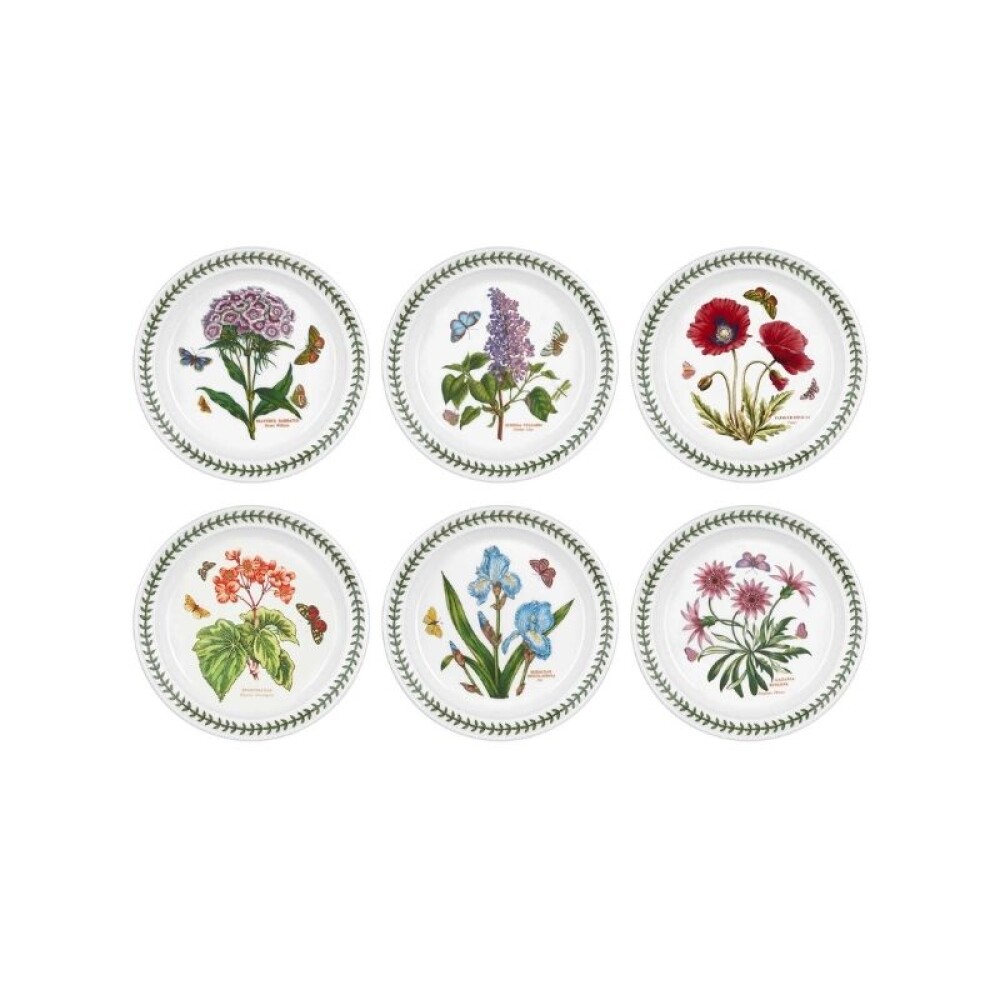 PORTMEIRION BOT GARDEN PLATO POSTRE 20 CM SET x 6 PORTMEIRION BOT GARDEN PLATO POSTRE 20 CM SET x 6