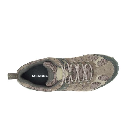 MERRELL ACCENTOR 3 Light Brown & Green
