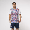 Remera manga corta FTBL Nacional Oficial Hombre 941