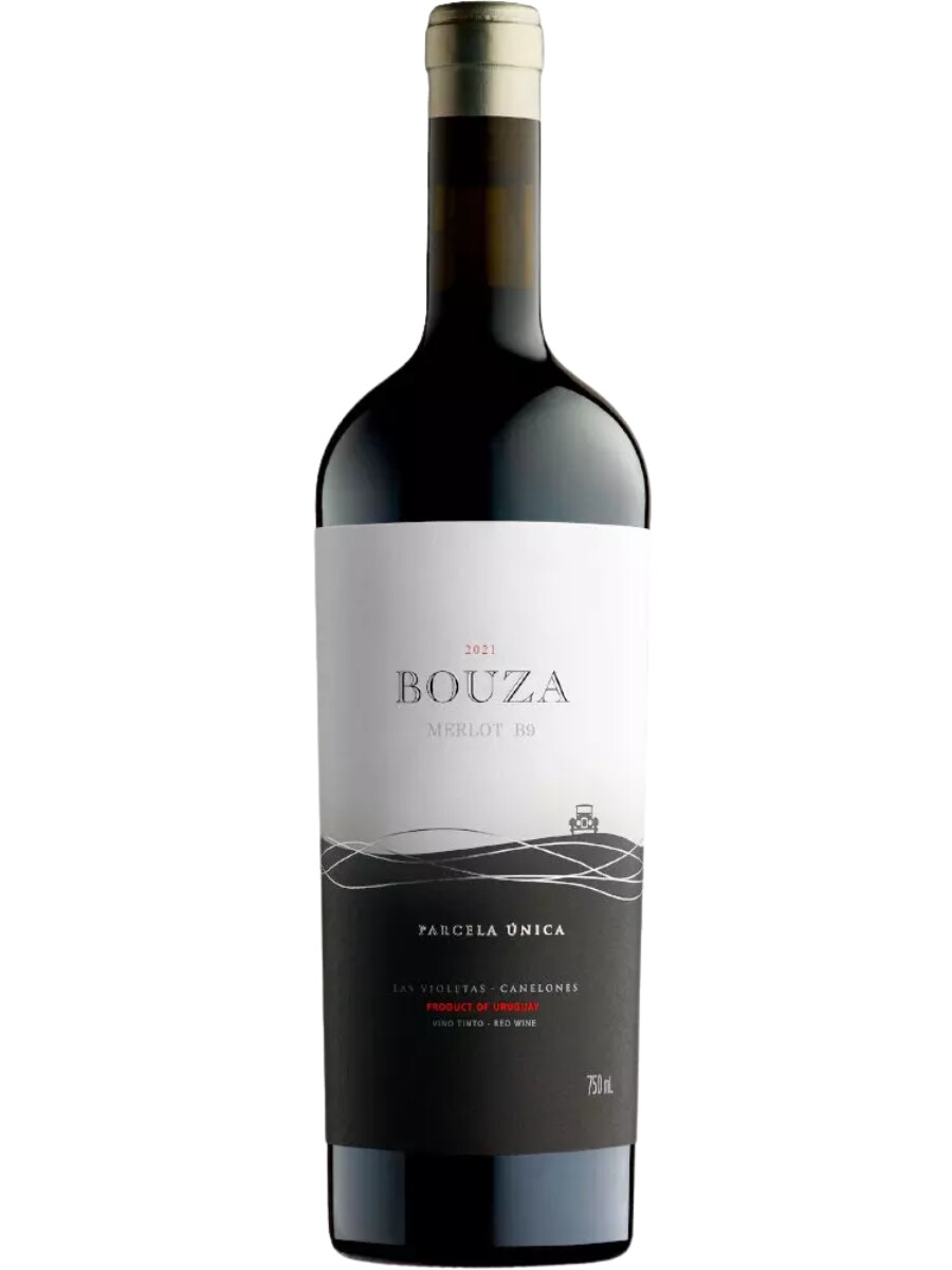 Merlot B9 Parcela única - Bodega Bouza 